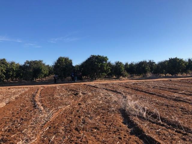 Cottage for sale in Milo, Shire of Irwin