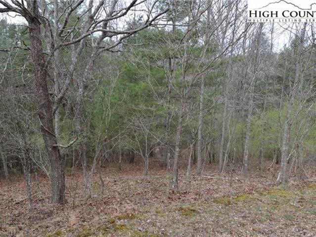 Land for sale in Alleghany, North Carolina