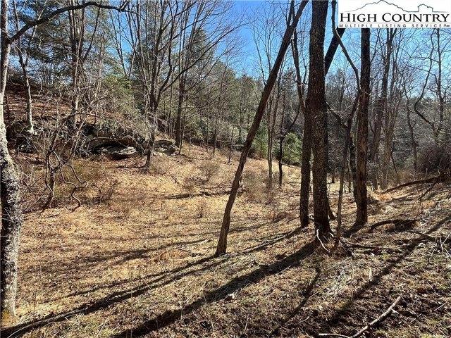 Land for sale in Alleghany, North Carolina