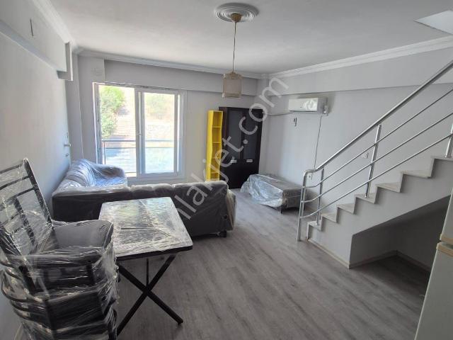 Nazilli, Aydin içerisinde kiralık mülk