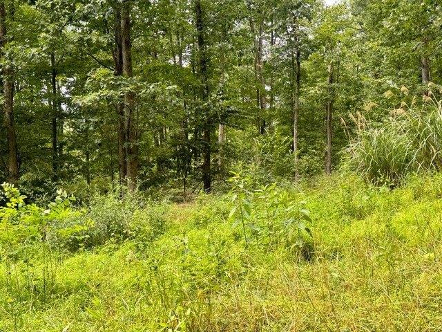 Land for sale in Brookville, Pennsylvania