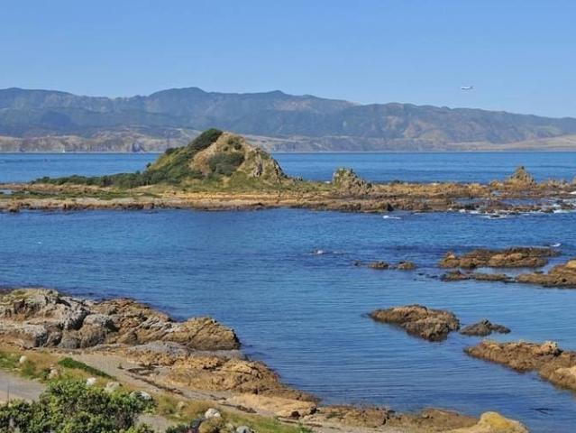House for rent in Matata, Wellington