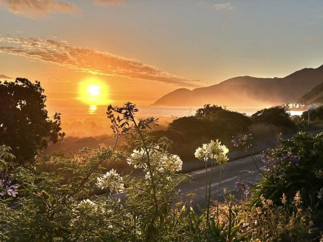 House for rent in Matata, Wellington