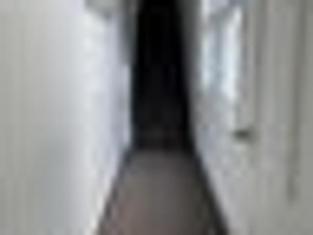 Apartment for rent in Island Bay, Wellington