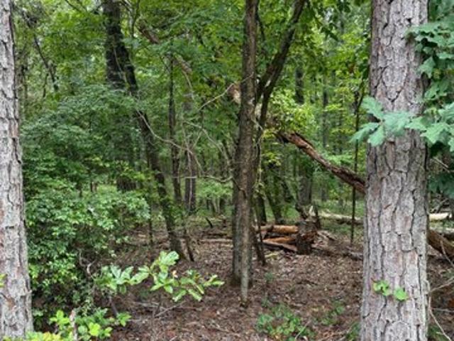 Land for sale in Sparta, Georgia