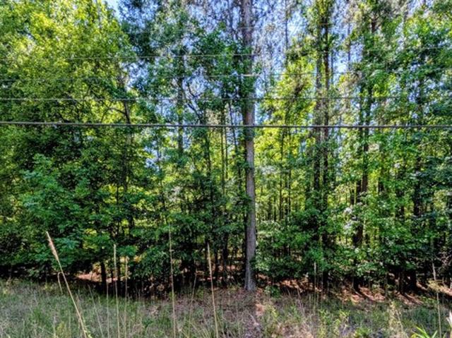 Land for sale in Sparta, Georgia