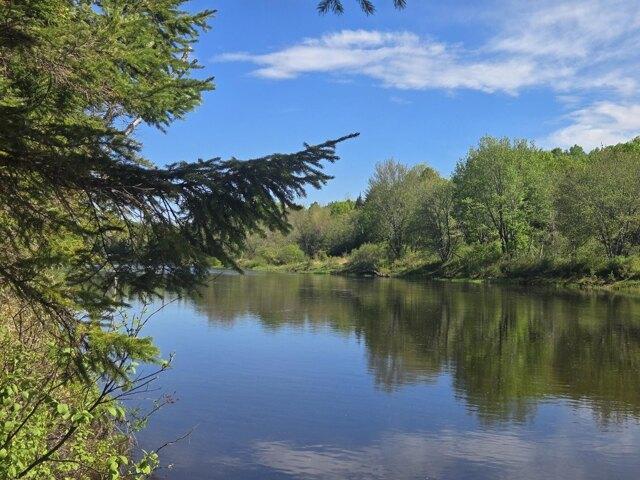 Land for sale in Island Falls, Maine