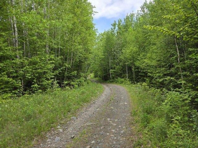 Land for sale in Island Falls, Maine