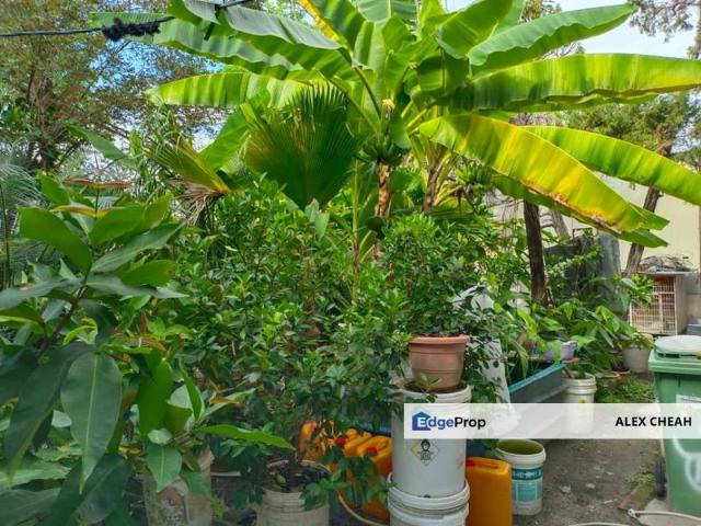 House for sale in Georgetown, Penang