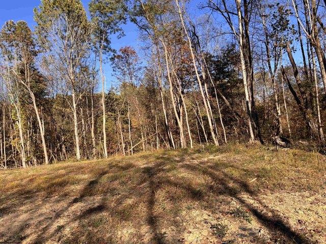 Land for sale in Junior, West Virginia