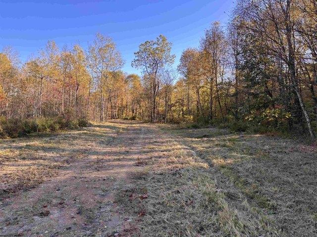 Land for sale in Junior, West Virginia