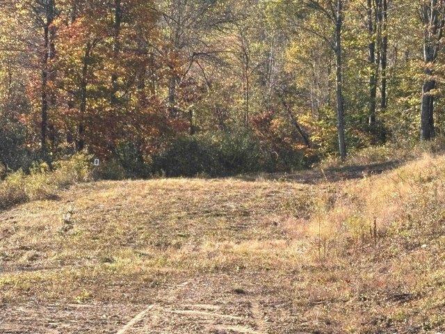 Land for sale in Junior, West Virginia