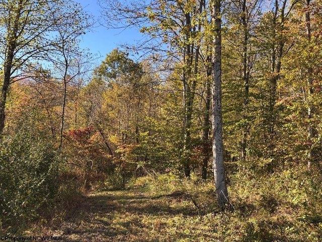 Land for sale in Junior, West Virginia