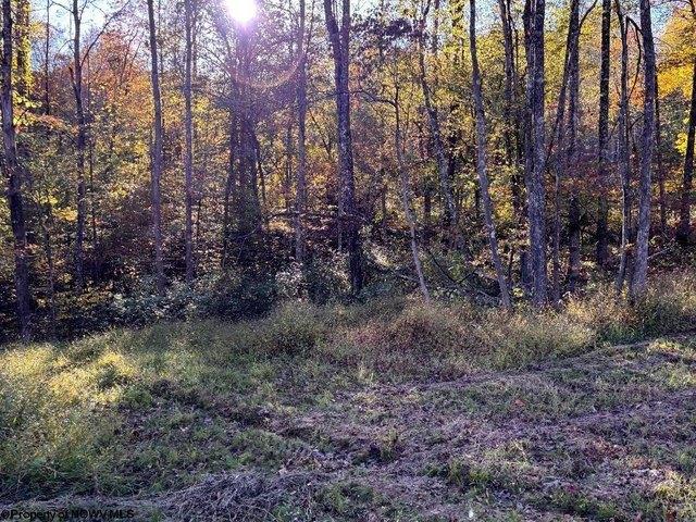 Land for sale in Junior, West Virginia