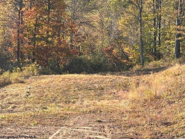 Land for sale in Junior, West Virginia