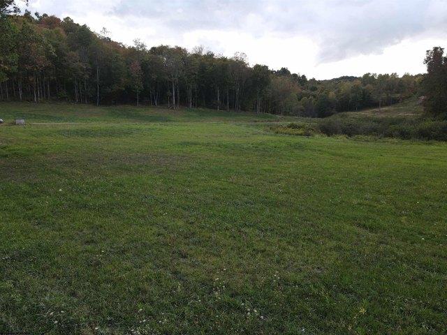 Land for sale in Junior, West Virginia
