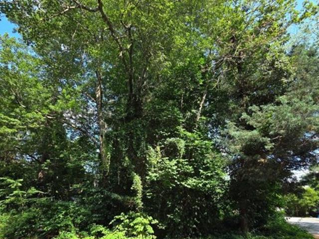 Land for sale in Norton Grove, Norton