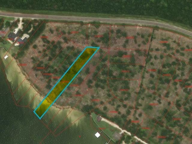 Land for sale in Polk, Texas
