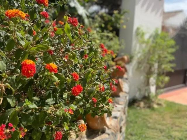 Apartamento en alquiler en Islantilla, Costa Occidental