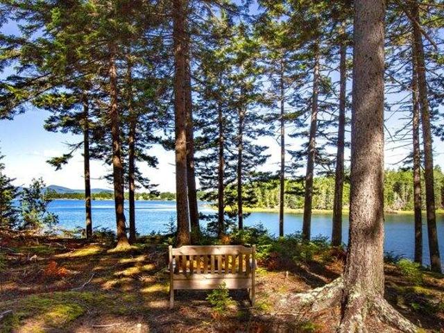 Land for sale in Waldo, Maine