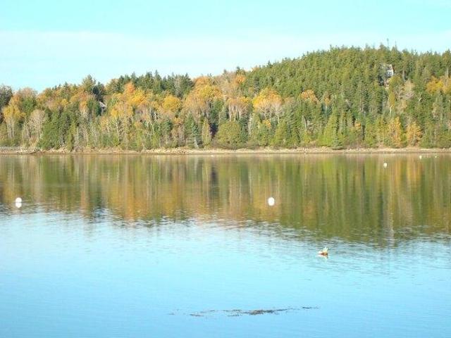 Land for sale in Waldo, Maine