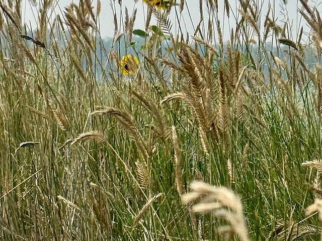 Land for sale in Moose Jaw, Saskatchewan