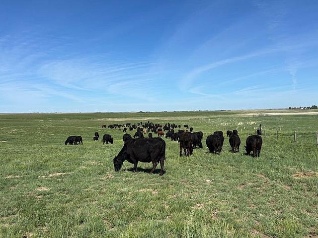 Land for sale in Medicine Hat, Alberta