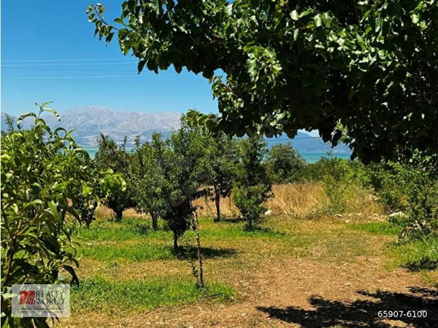 Esinyurt, Gelendost içerisinde satılık mülk