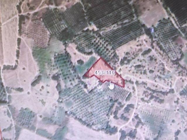 Çorak, Eğirdir içerisinde satılık Dükkan
