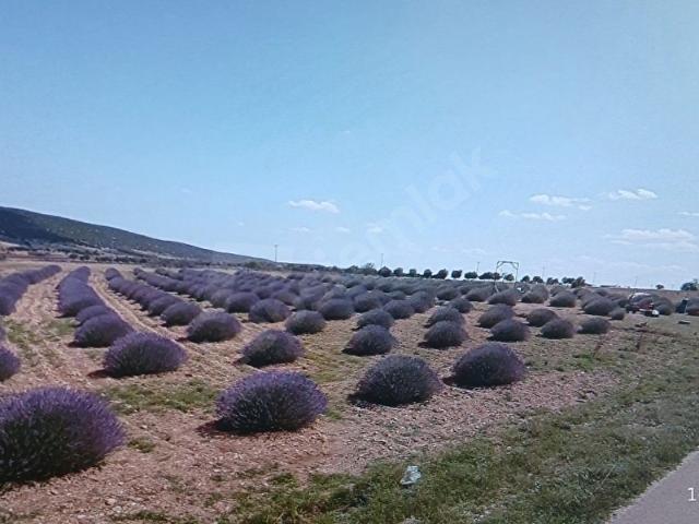 Kılıç, Keçiborlu içerisinde satılık Arsa
