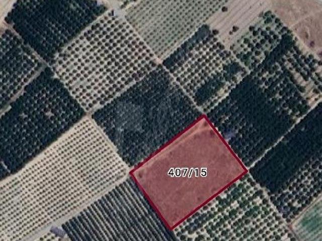 Senirkent içerisinde satılık Arsa