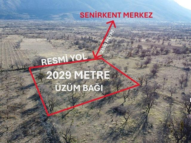 Başköy, Senirkent içerisinde satılık Arsa