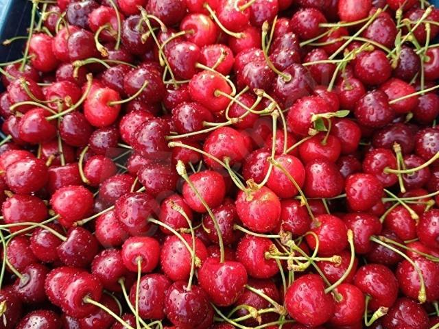 Garip, Senirkent içerisinde satılık mülk