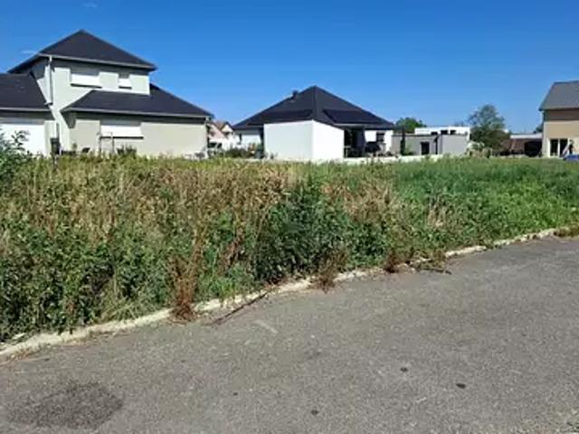 Terrain vente à Issenheim, Collectivité européenne d'Alsace