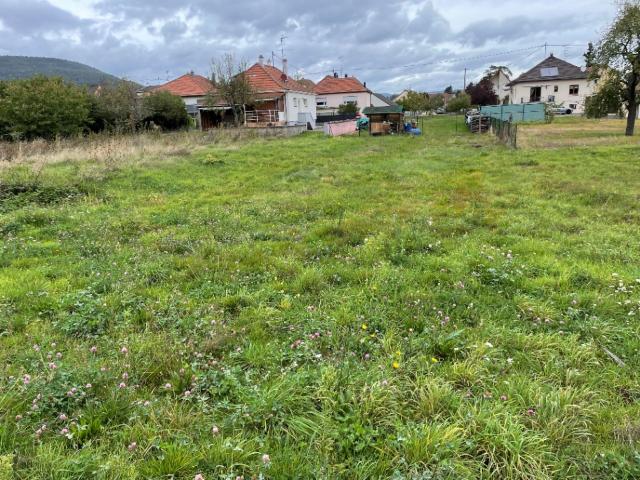 Terrain vente à Thann-Guebwiller, Issenheim