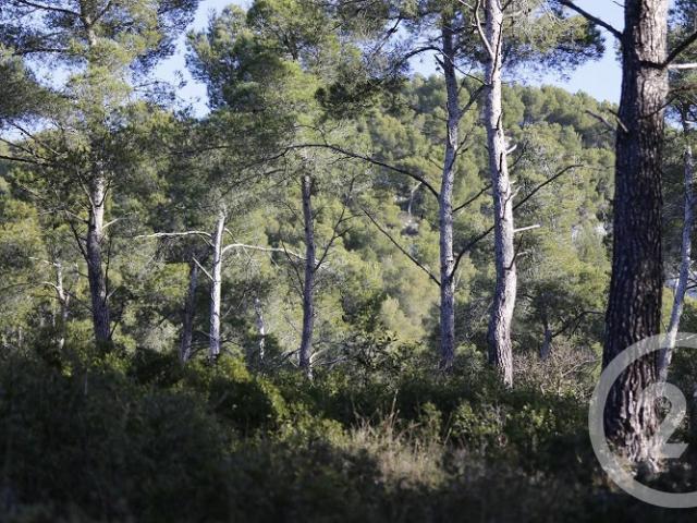 Terrain vente à Istres