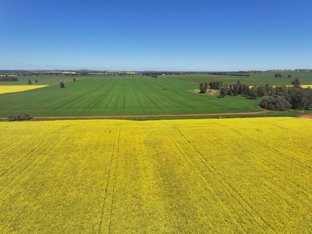 Property for sale in New South Wales