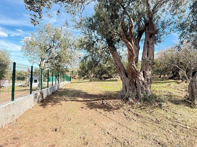 Aliağa, İzmir içerisinde satılık mülk