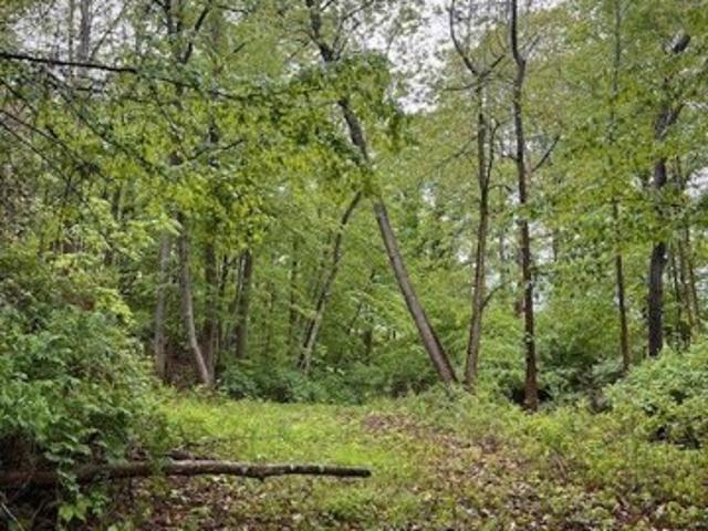Land for sale in Middlesex