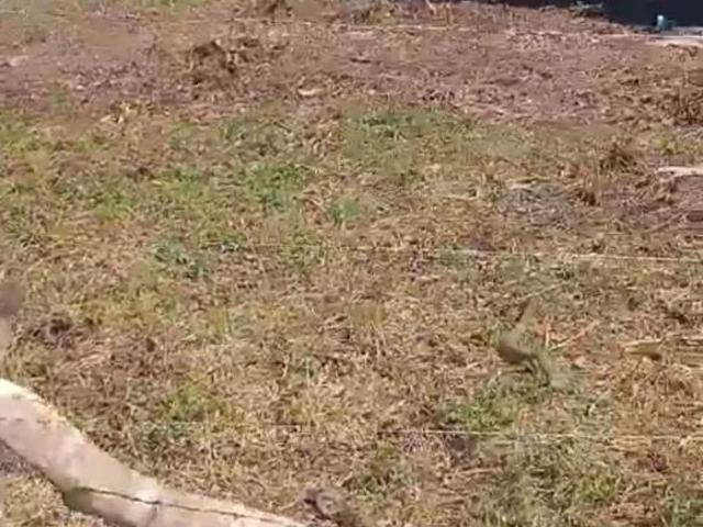 Terreno venda em Região Imediata de Santos, Região Metropolitana da Baixada Santista