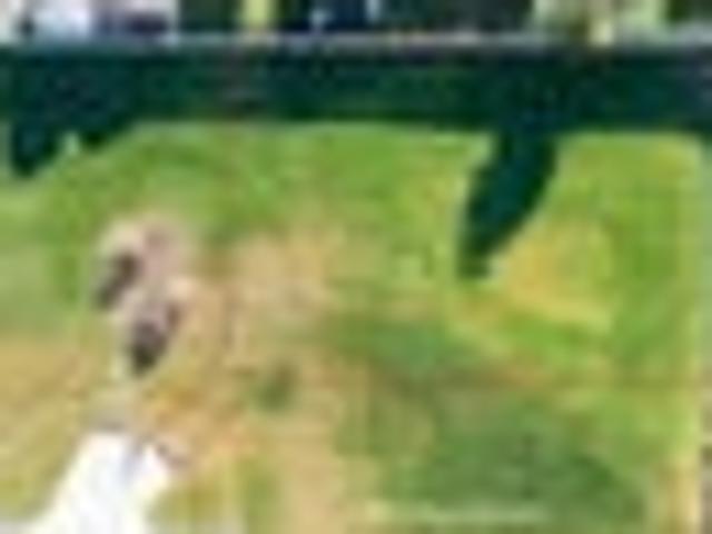 Land for sale in Gore, Southland