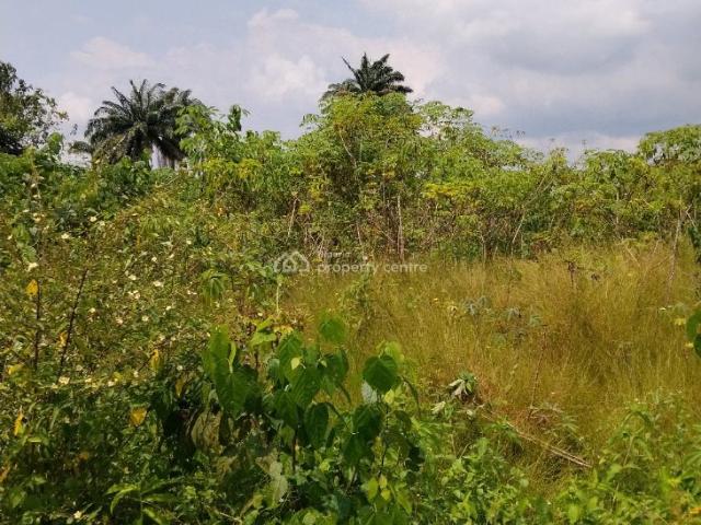 Land for sale in Etche, Rivers