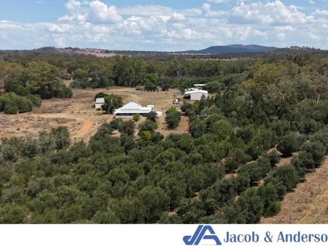 Cottage for sale in Gunnedah, New South Wales