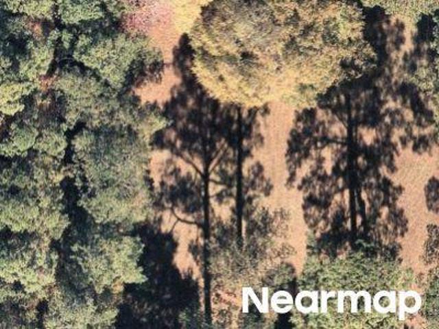 Property for sale in Mount Pleasant, South Carolina