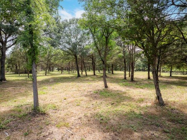 Land for sale in Bellville, Texas
