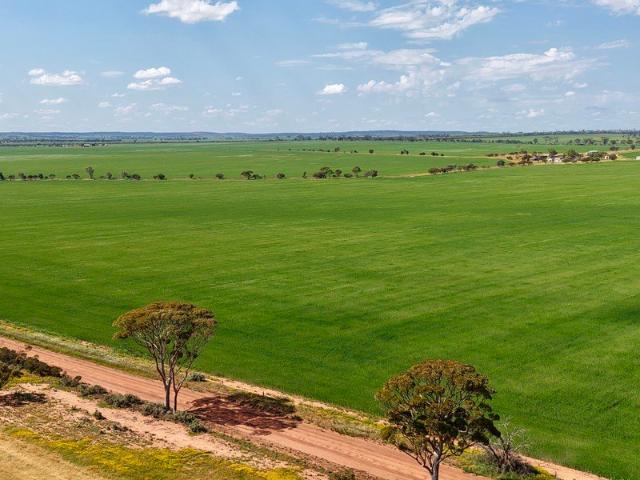 Land for sale in South Kununoppin, Western Australia