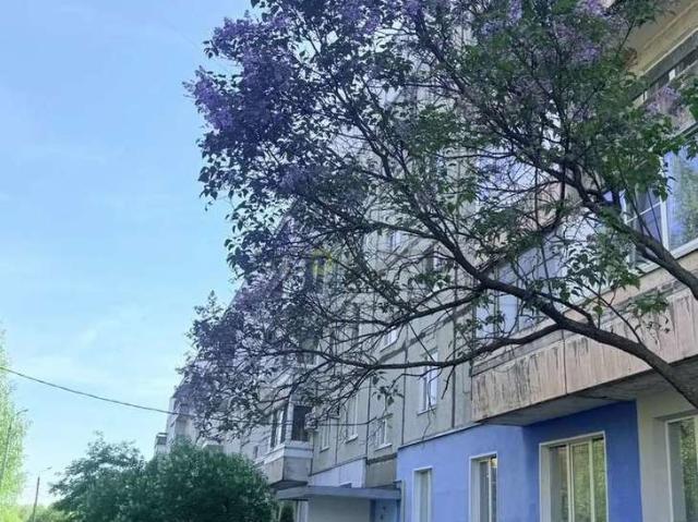 Квартира аренда в Ярославская область