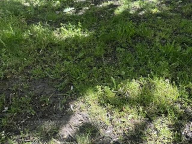 Участок продажа в Краснодарский Край