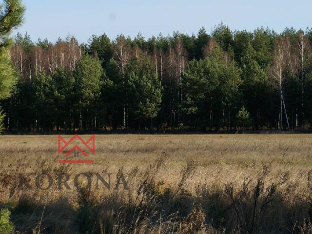 Grunt na sprzedaż w Izabelin, Podlaskie