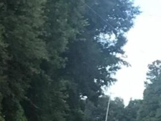 Land for sale in Blackville